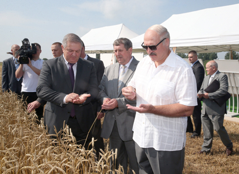 Belarus president urges to step up harvesting campaign