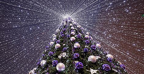 Мюзикл, караоке со звездами и церемония зажжения огней на главной елке в Могилеве пройдет 15 декабря