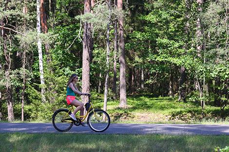 Велоквест проведут в Беловежской пуще к началу туристического сезона