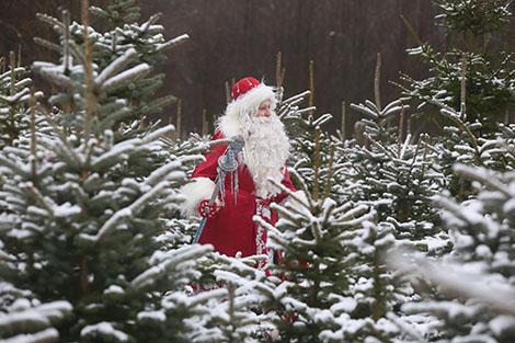 В Гродненской области откроется более 10 резиденций Деда Мороза