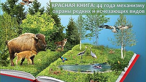 Новое издание Красной книги Беларуси пополнится более чем 300 видами растений