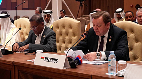 Алейник: отношения Беларуси и Африки испытывают определенный ренессанс