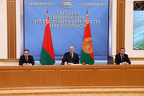 Лукашенко: продовольственная безопасность Беларуси обеспечена, но этого мало