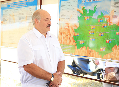 Лукашенко рассказал о президентском поле и поделился воспоминаниями из детства