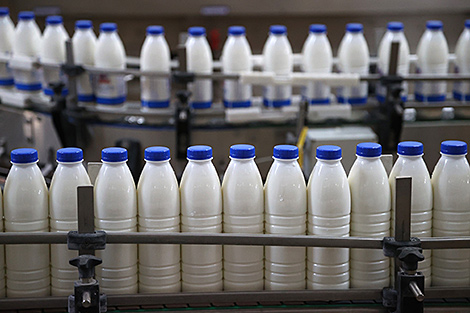 What is the secret of Belarusian dairy products? The story of global success