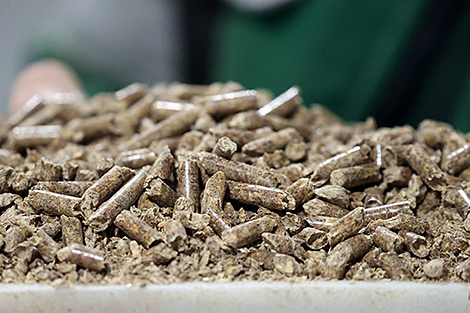 Export of Belarusian peat fuel products 2.3 times up in January-September