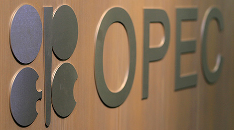 Belarus to borrow $20m from OPEC Fund for healthcare needs