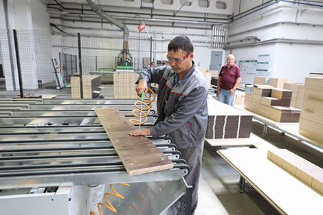 Belarus to export sawn wood to Egypt via BUCE
