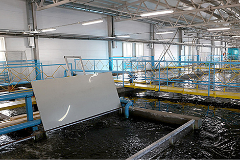 Lukashenko upholds projects to build new fish farms in Mogilev Oblast