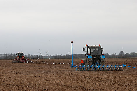 Planting in Belarus to be completed by 9 May