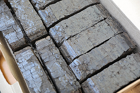 Belarusian commodity exchange sells first batch of peat briquettes to foreign customers