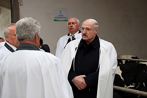 Lukashenko hails positive changes in economic management in Vitebsk Oblast