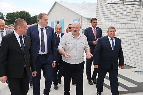 Lukashenko unhappy about high mortality rates among calves