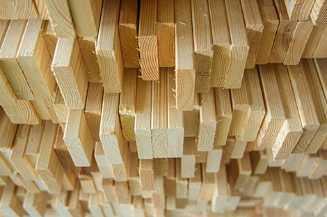 Iran shows interest in Belarusian timber