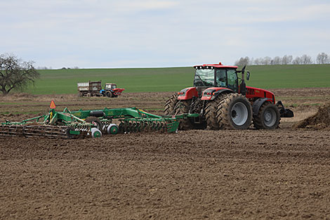 Agriculture ministry: Sanctions will not hamper planting effort in Belarus