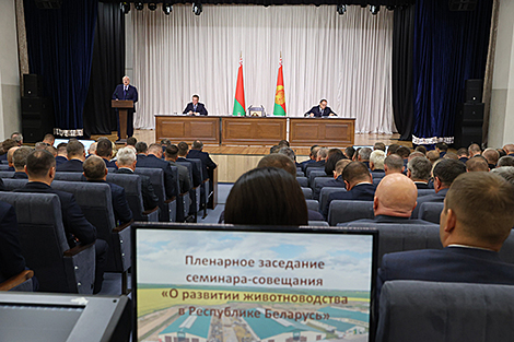 Lukashenko: Modernization of cattle-breeding facilities will continue