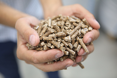 Новые пеллетные заводы в октябре отгрузили топливные гранулы более чем на 1,1 млн евро
