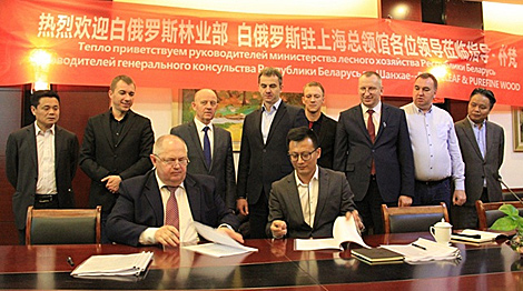 Беларусь будет наращивать поставки пиломатериалов на китайский рынок