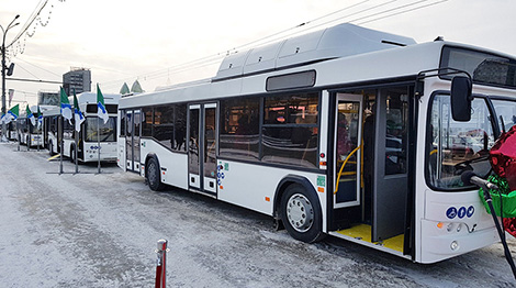 МАЗ поставил газомоторные автобусы в Новосибирск