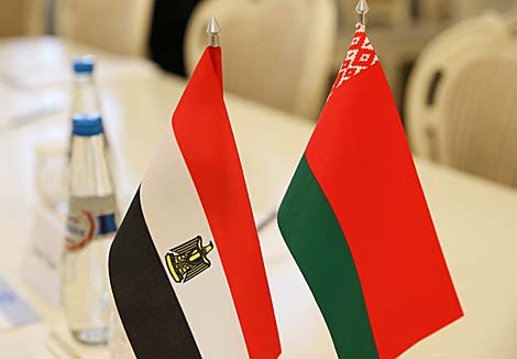 Беларусь и Египет заинтересованы в развитии сотрудничества в промышленности