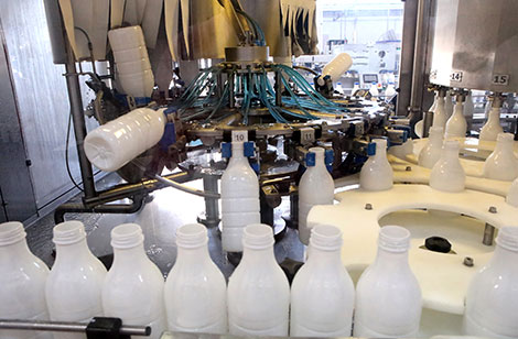 Белорусские молочные предприятия прошли сертификацию для поставок во Вьетнам