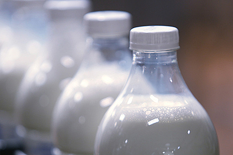 В Минской области в 2023 году произвели более 2,1 млн тонн молока