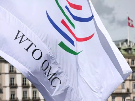 Беларусь и ВТО обсудили расширение взаимодействия