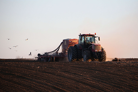 Условия ведения сельского хозяйства в Беларуси могут существенно измениться к середине века