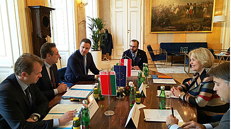 库普奇纳与奥地利副总理讨论了合作发展