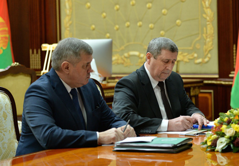 Belarus president in favor of processing all timber domestically