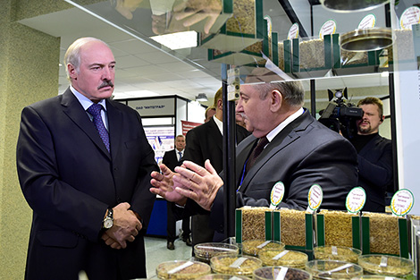 Belarus president against perfunctory awards for scientific works