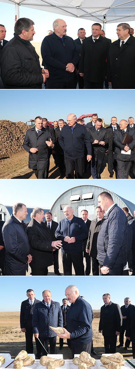 Lukashenko: Farming efficiency will be in the center of attention in 2018