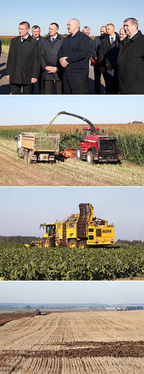 Lukashenko: Farming efficiency will be in the center of attention in 2018