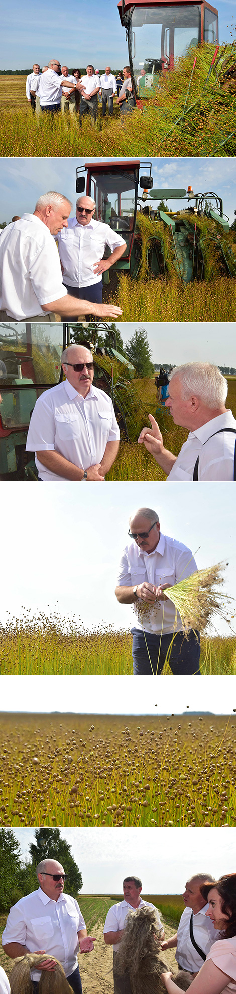 Lukashenko sees good prospects for raising flax growing efficiency in Belarus