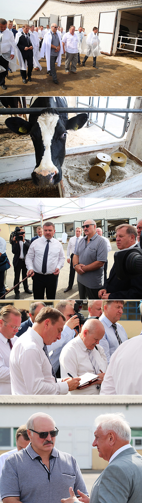 Lukashenko visits struggling farm Kossovo