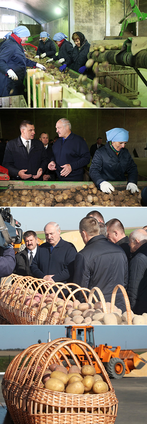 Рабочая поездка Александра Лукашенко в Клецкий район Минской области