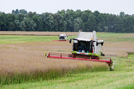 Harvesters by Belarusian Gomselmash in upcoming farming simulator game