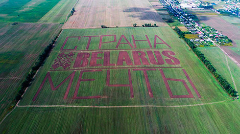 Production of huge picture near Minsk National Airport explaiProduction of huge picture near Minsk National Airport explainedned