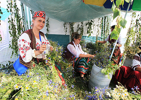 Kupalye festival in Alexandria