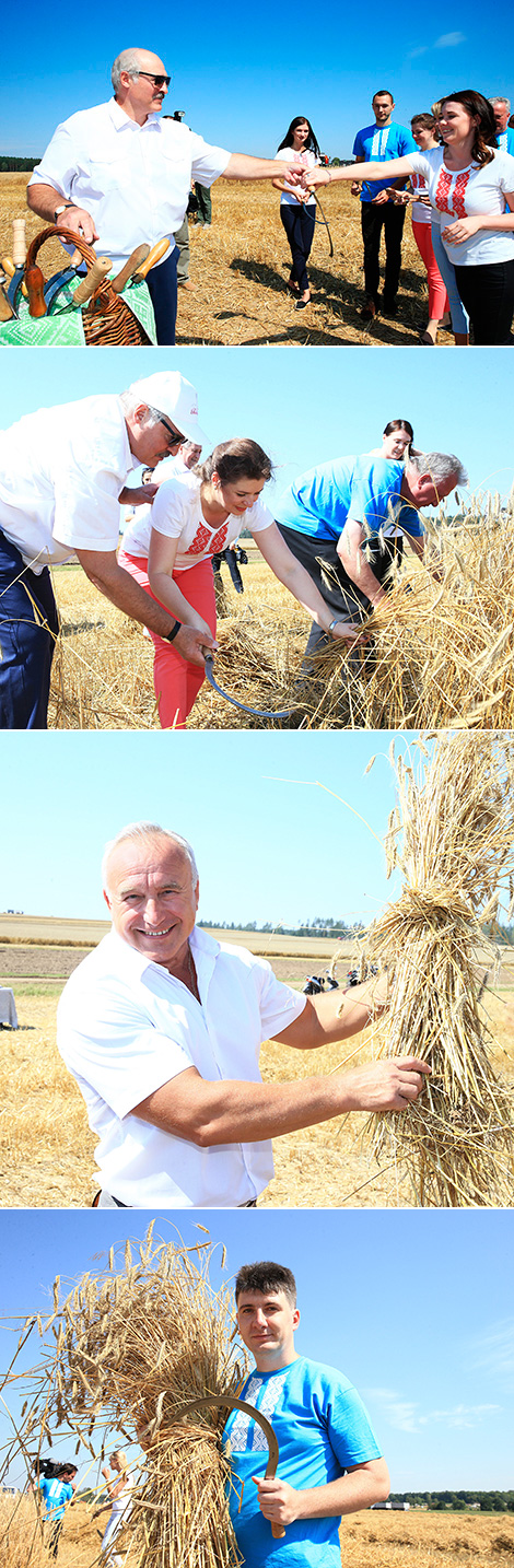 Belarus president teaches reporters how to harvest grain crops with sickles