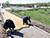 Br14.5m earned during national cleanup day in Belarus