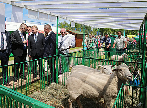 Belarus Prime Minister Andrei Kobyakov visited the international Belagro expo