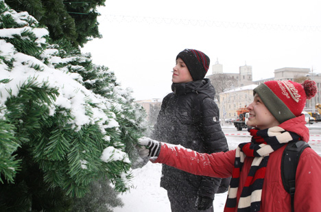 Огни на новогодних елках Минска включат 15 декабря