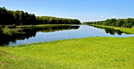 Беловежская пуща вошла в топ-25 туристических направлений Восточной Европы