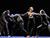 Победителей республиканского конкурса хореографии IFMC назвали в Витебске