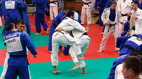 Международный тренировочный лагерь по дзюдо в "Стайках" собрал около 400 спортсменов