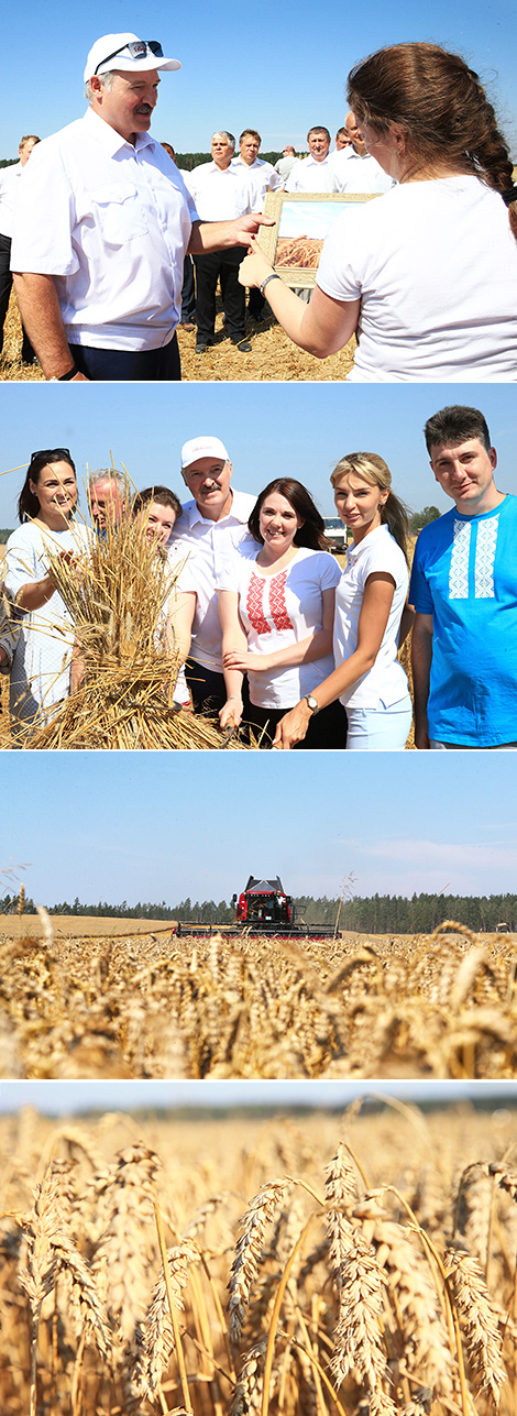 Представители СМИ подарили главе государства фотографию флагманского белорусского комбайна в поле