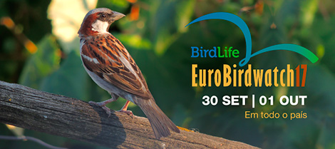 Европейские дни наблюдения за птицами пройдут в Беларуси 30 сентября и 1 октября