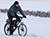 Минск присоединится к акции "На работу на велосипеде зимой"