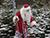 Выбирал елку и ловил золотую рыбку: по Гродненской области путешествует безвизовый турист Дед Мороз